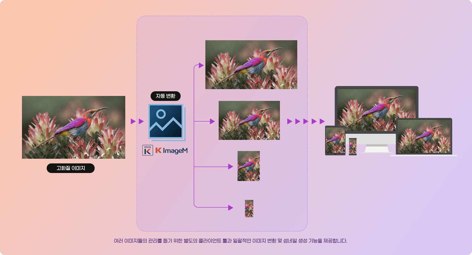 이미지 웹서비스 최적화 서버 컴포넌트